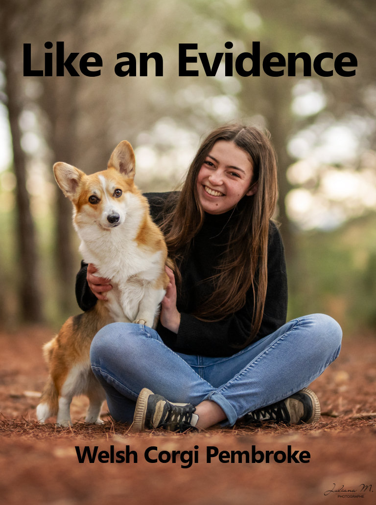 Like an Evidence Like an Evidence