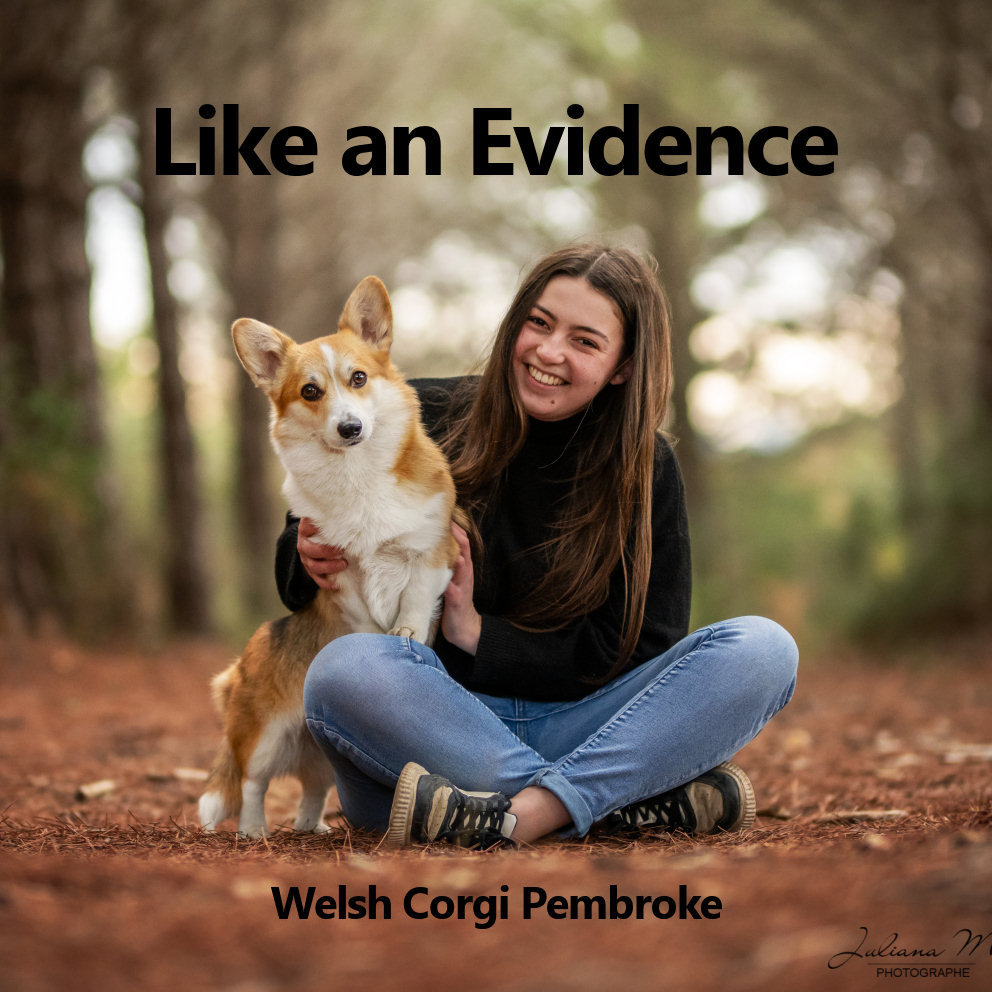 Like an Evidence Like an Evidence