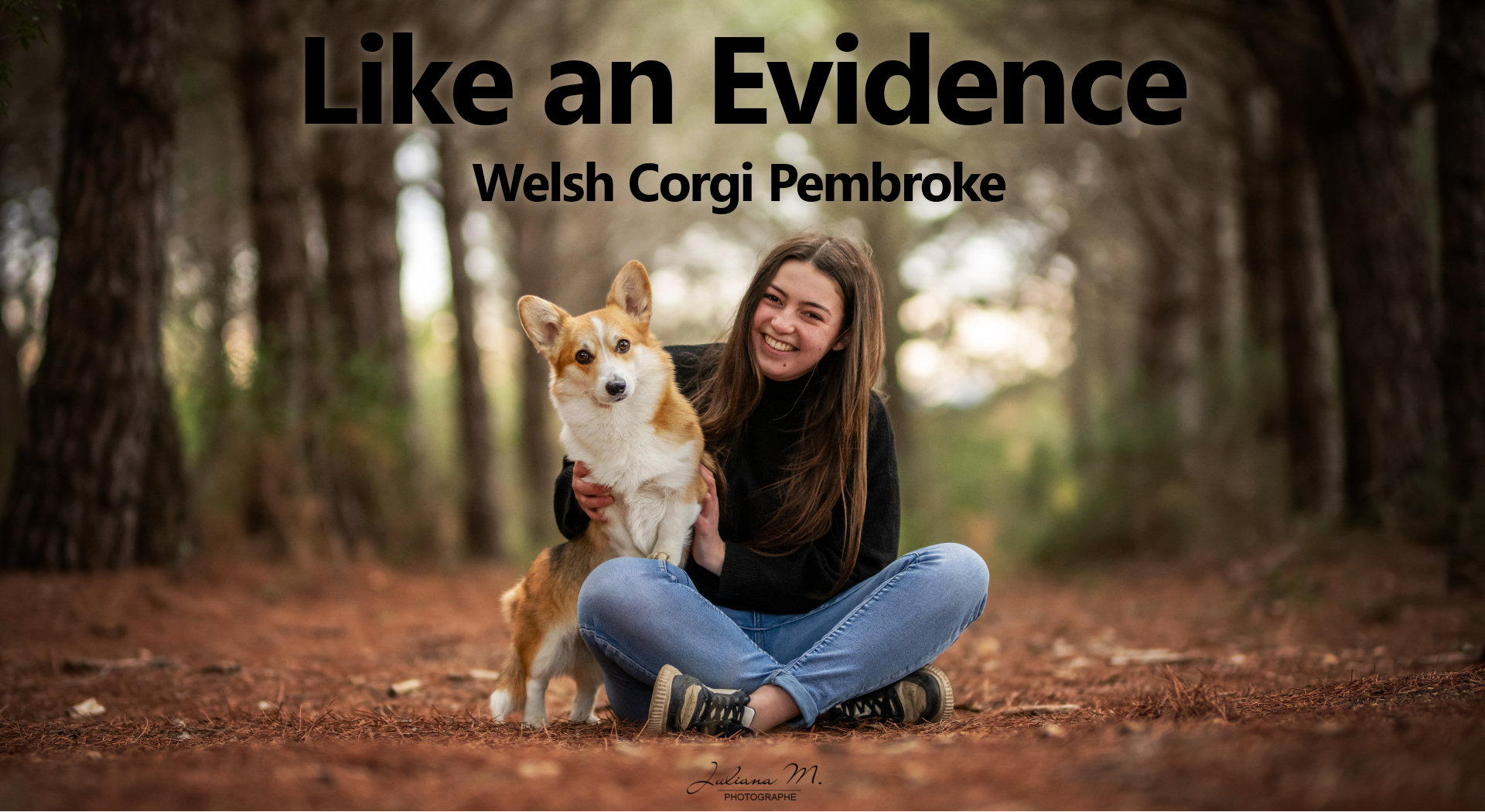 Like an Evidence Like an Evidence